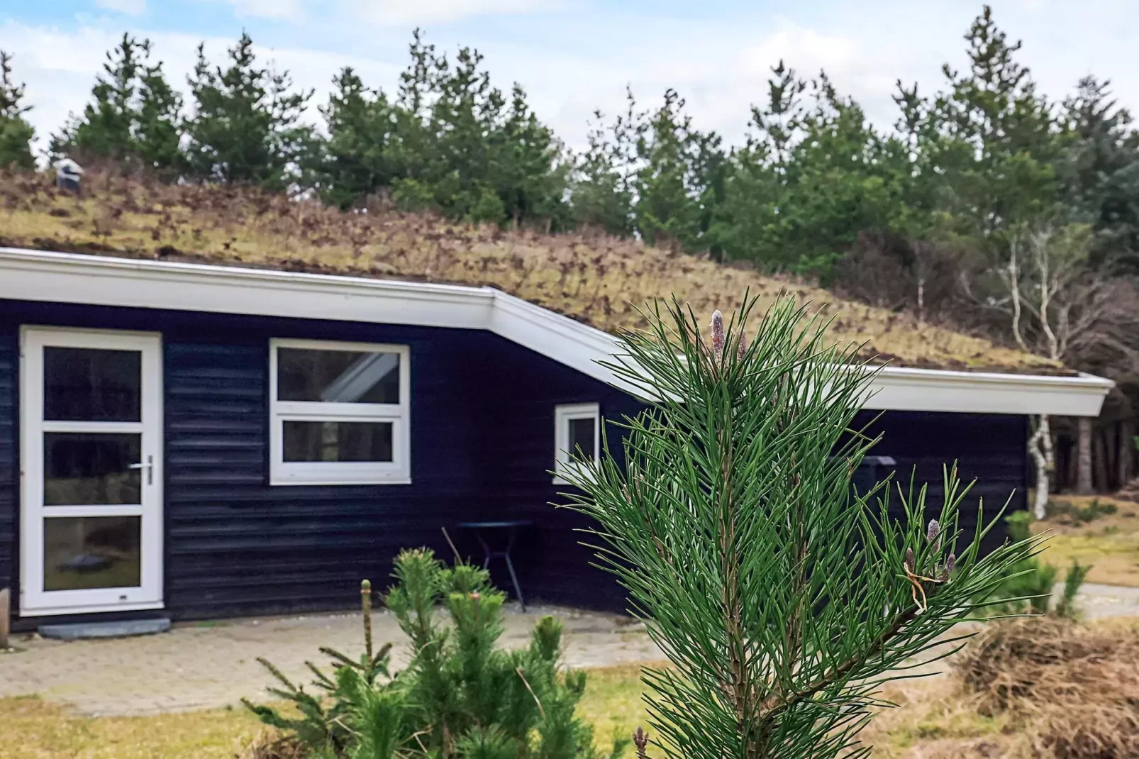 6 Personen vakantie huis in Blokhus-Uitzicht