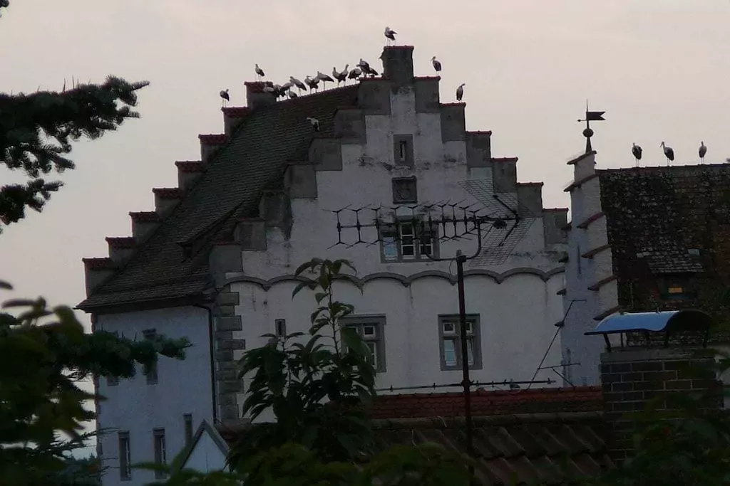 270761-Niet-getagd