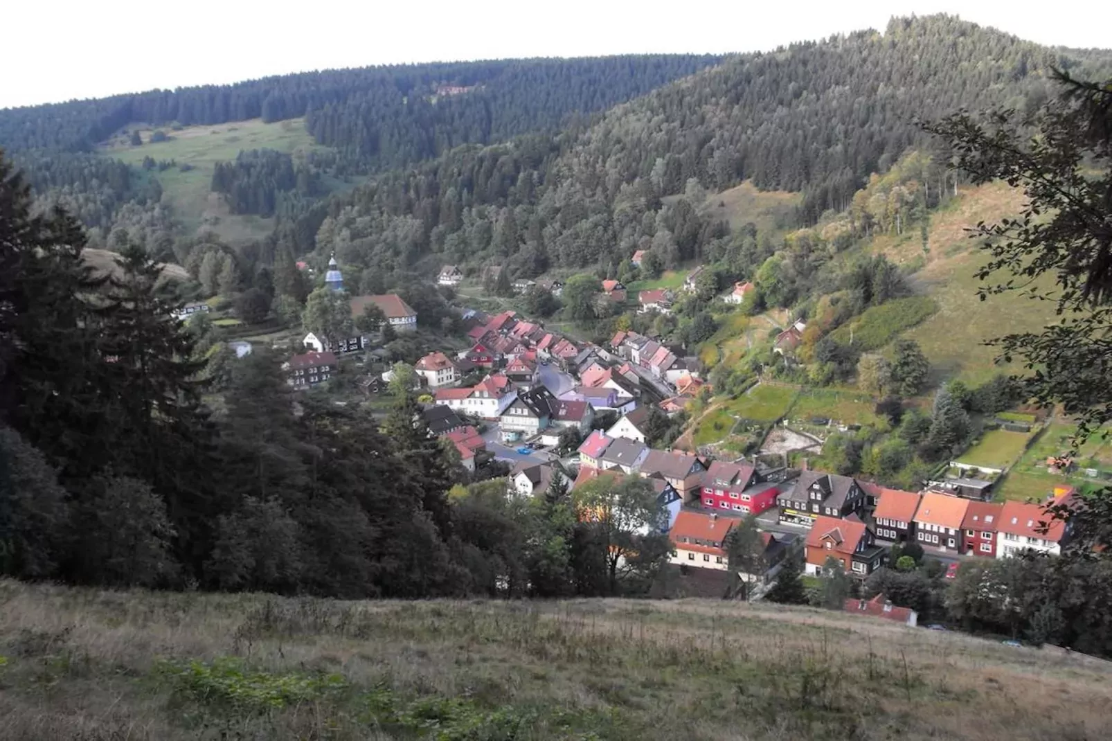 Wildemann-Gebieden zomer 20km