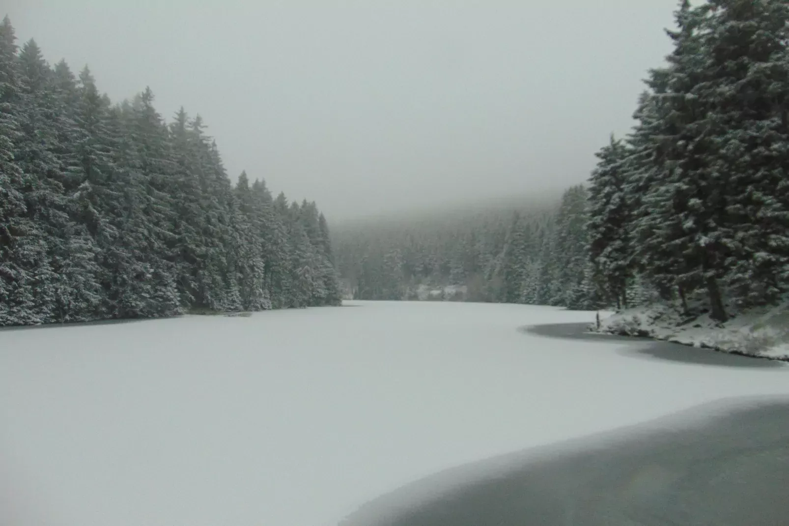 Wildemann-Gebied winter 20km