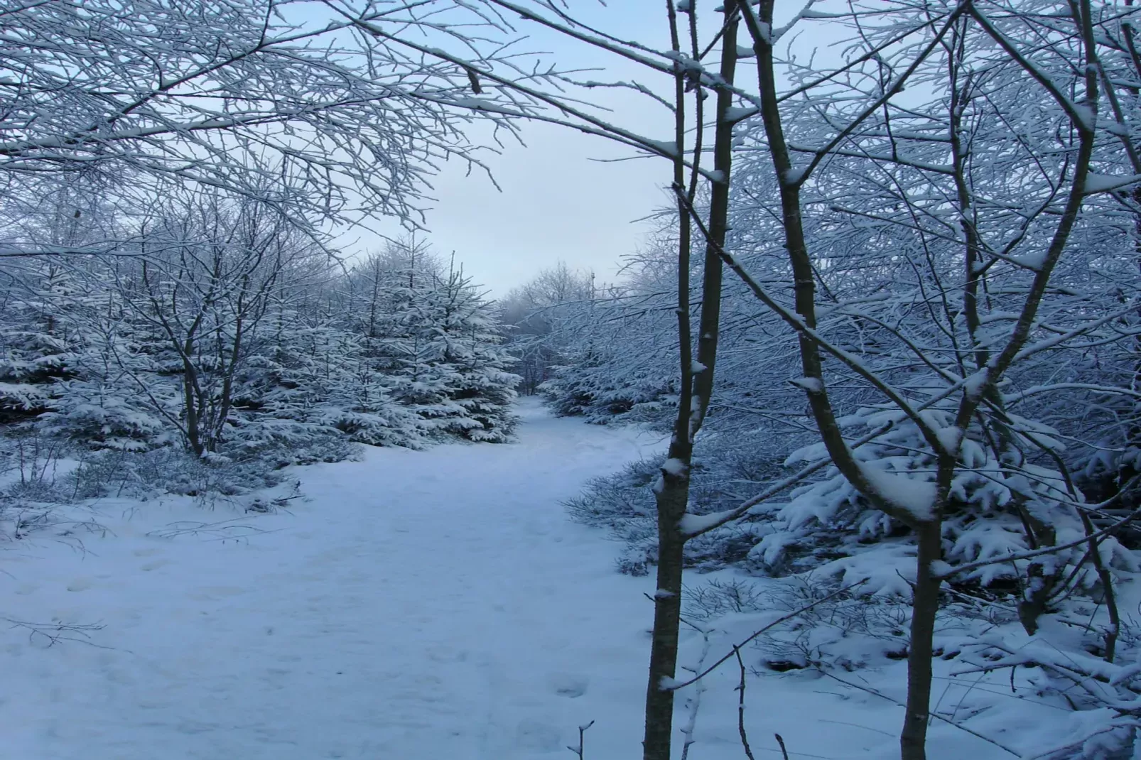 Zur Schöne Aussicht-Uitzicht winter