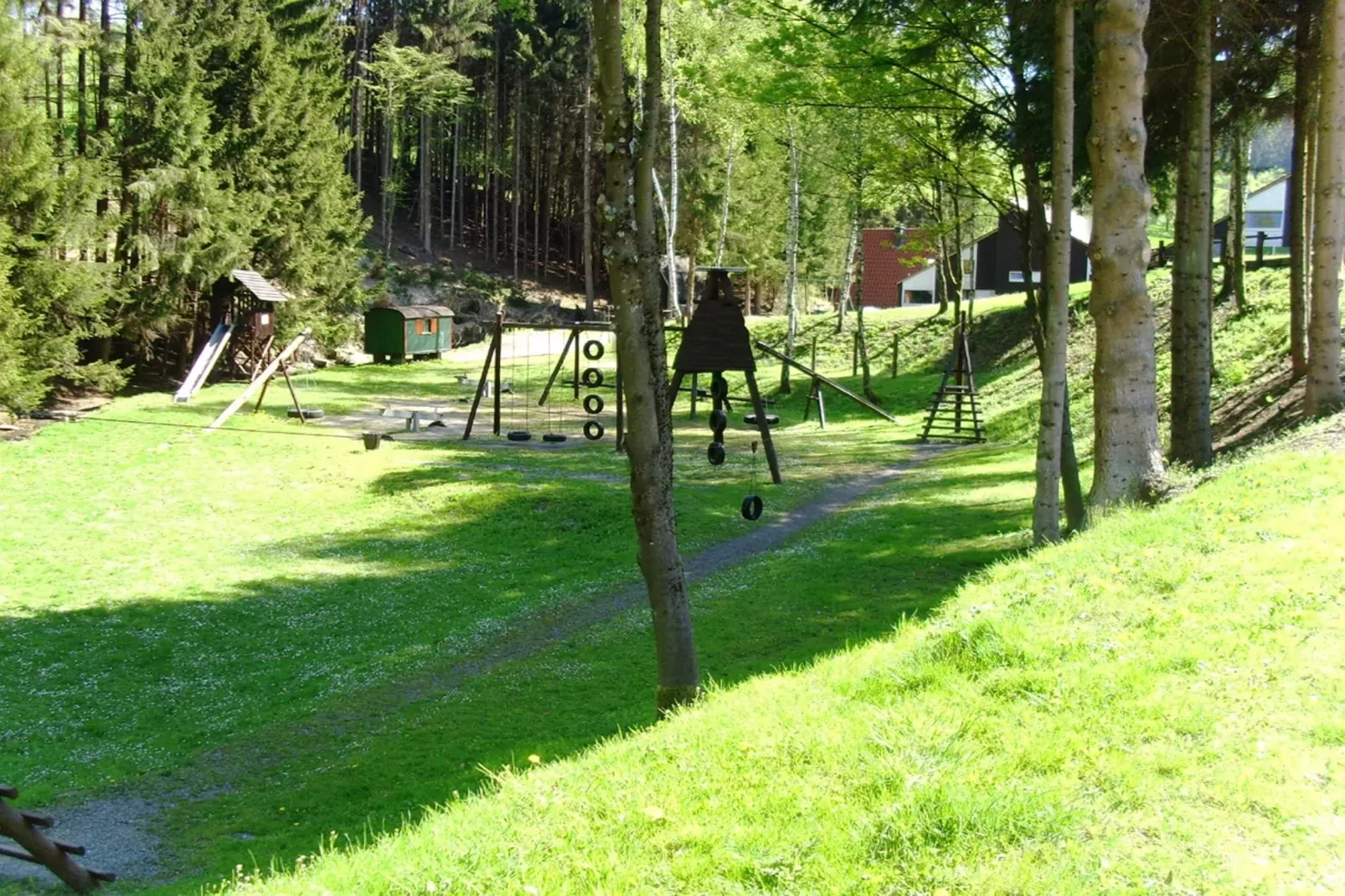Murmeltier-Gebieden zomer 1km