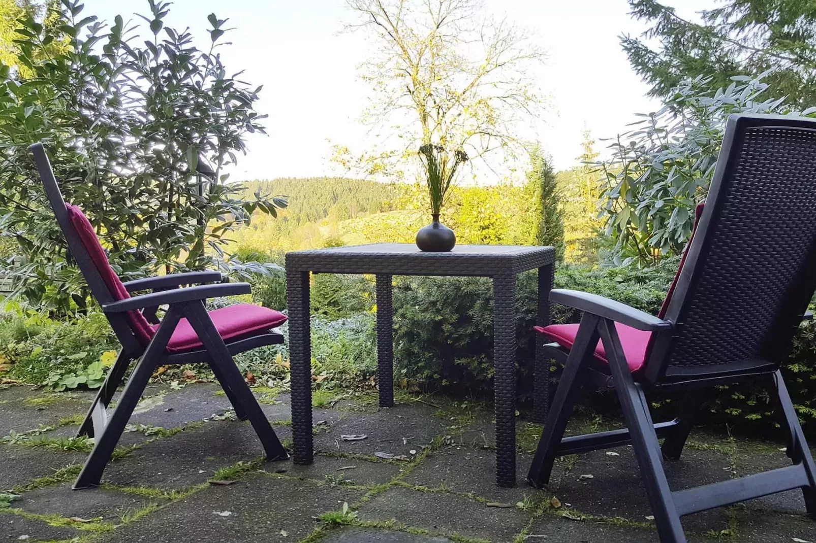 Hirschblick/Wohnung 6 2 Pers-Terrasbalkon