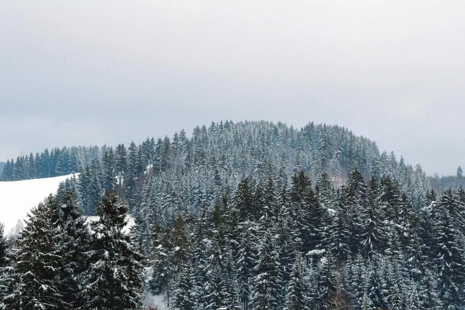 Hirschblick/Wohnung 6 2 Pers-Gebied winter 5km