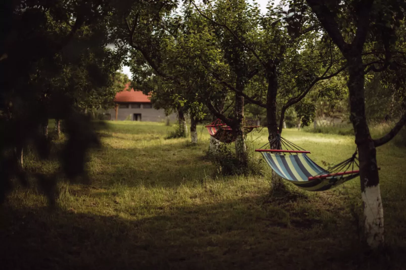 Apartament Żółty Gronowo-Tuinen zomer