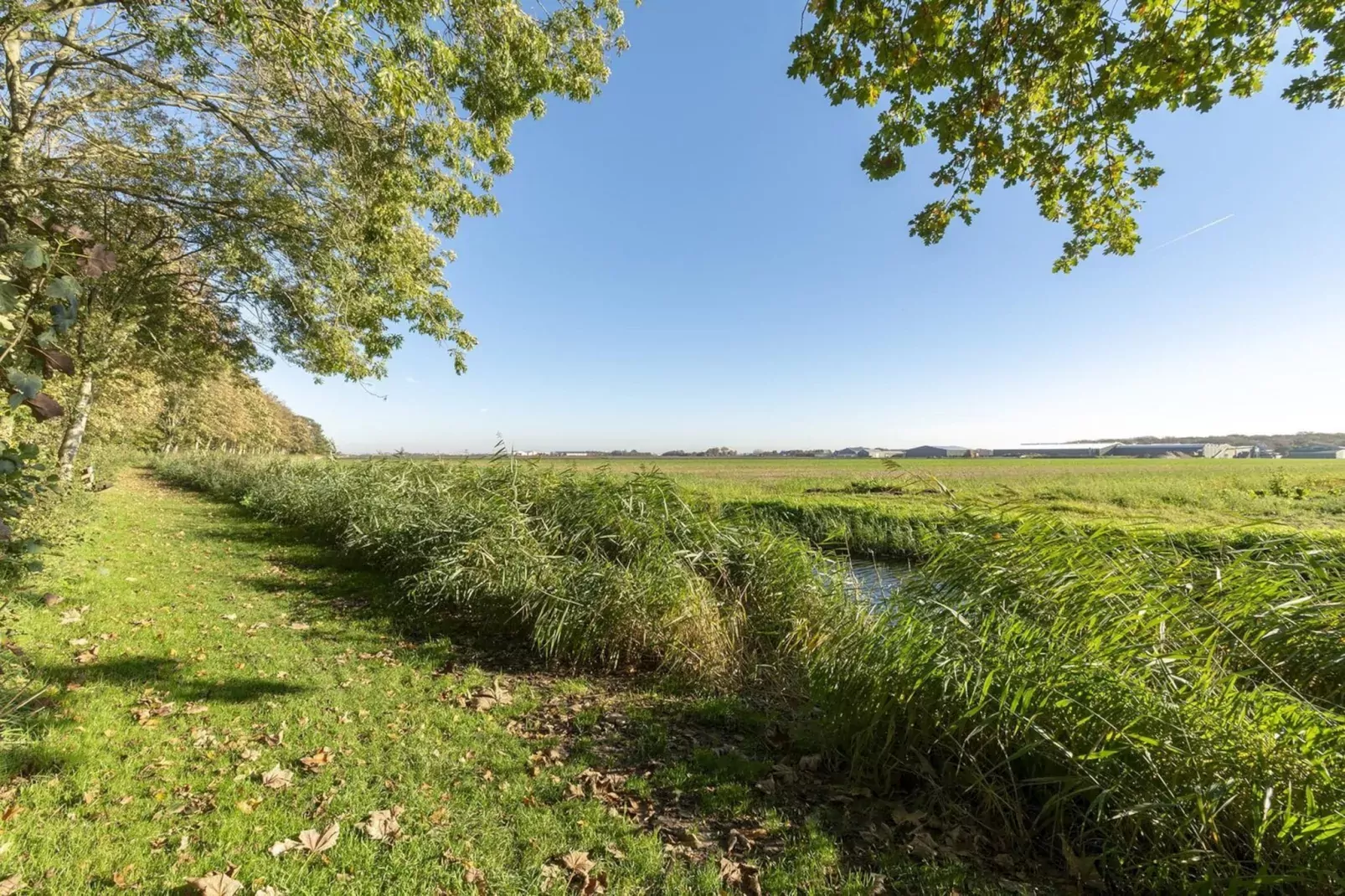 Duinland 110-Gebieden zomer 1km