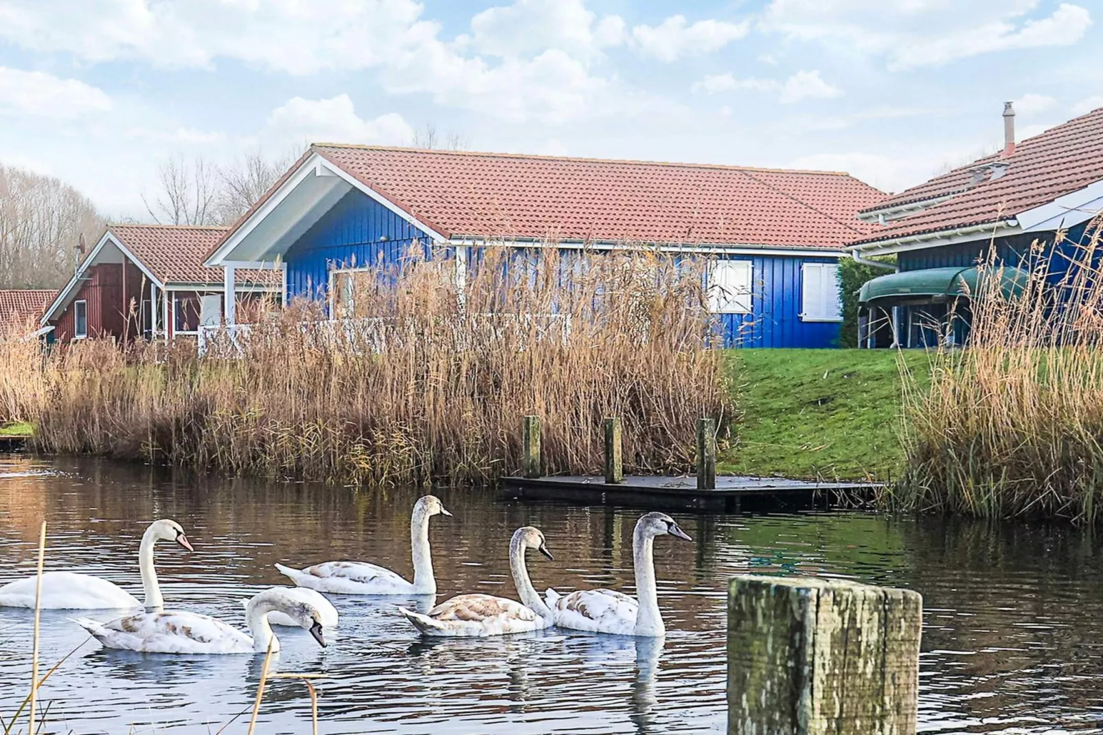 4 sterren vakantie huis in Ottendorf