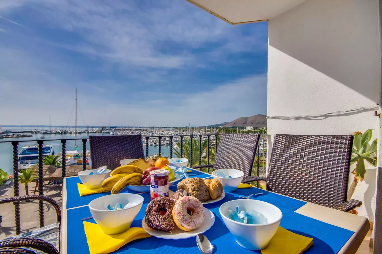 Concha-Terras