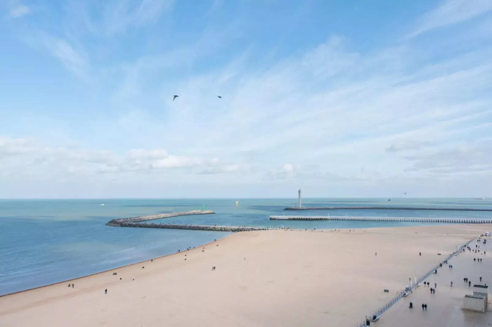 Angleterre-Gebieden zomer 1km