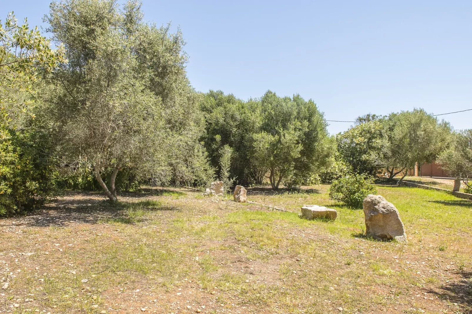 Finca Sa Plana-Tuinen zomer