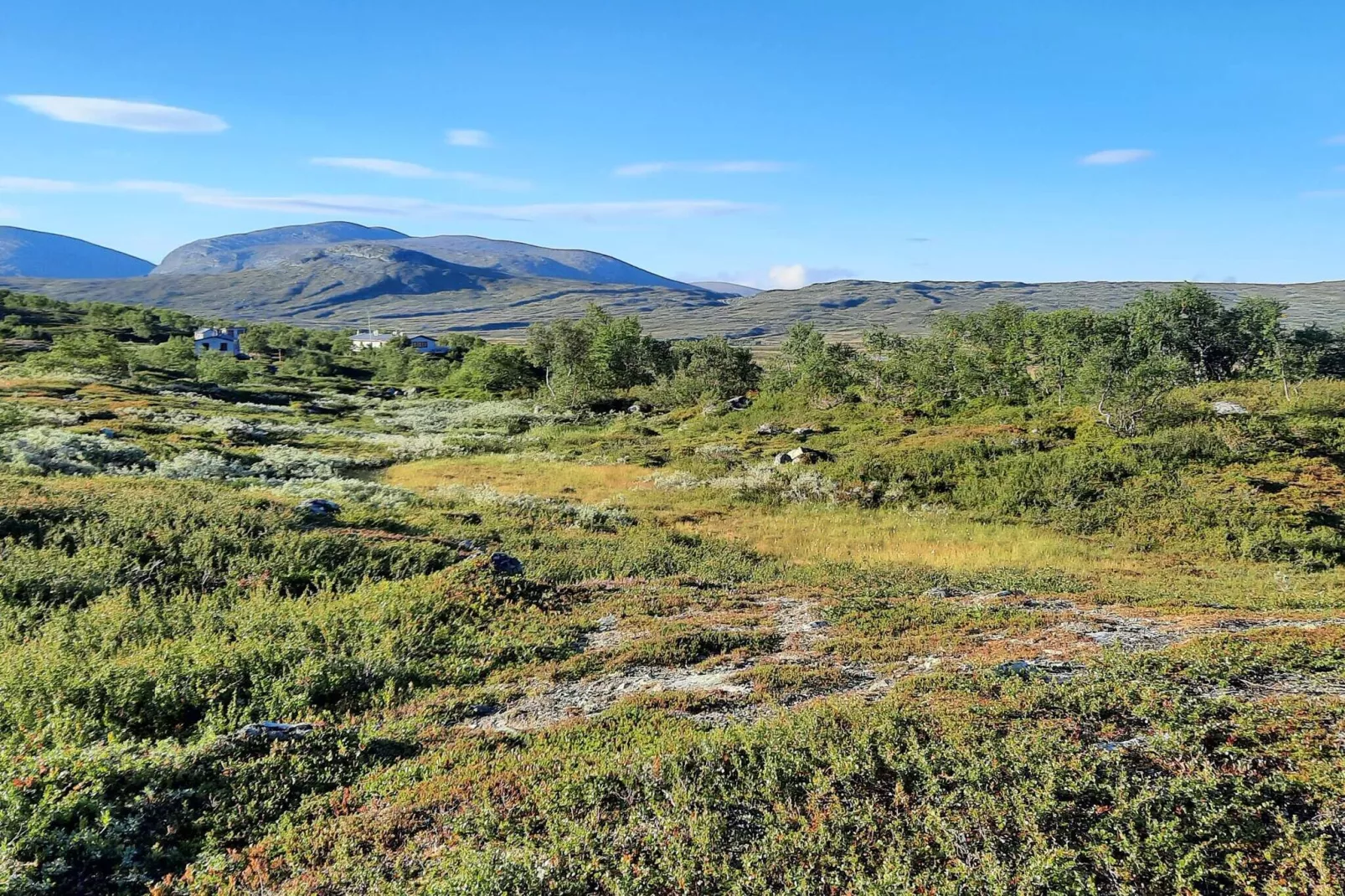 3 persoons vakantie huis in ÖSTERSUND