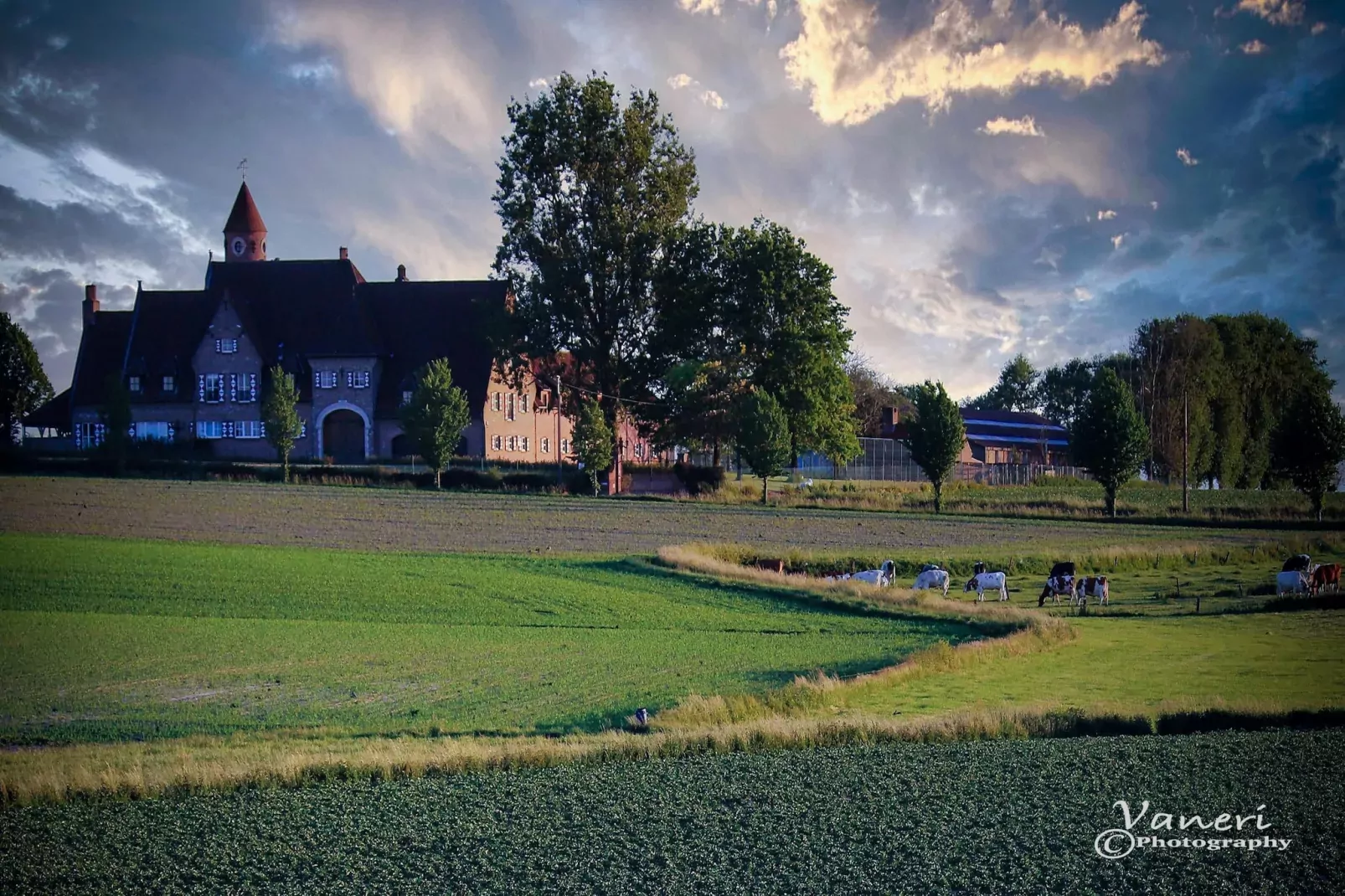 Casa Olivos-Gebieden zomer 5km