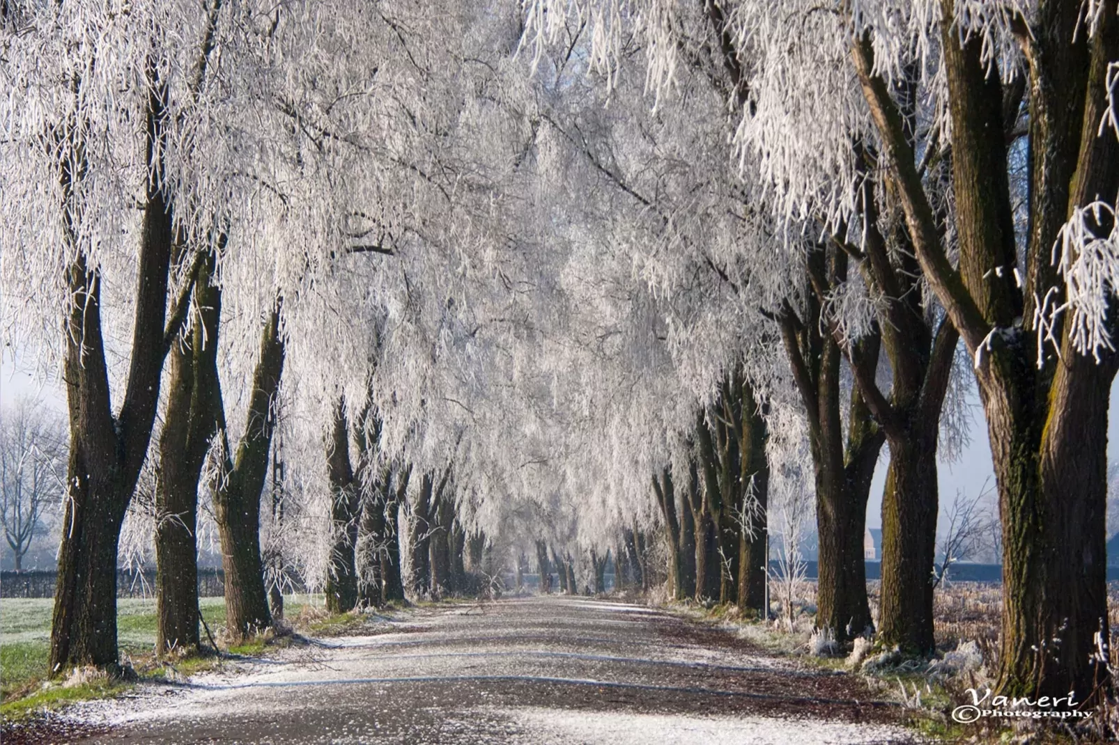 Casa Olivos-Gebied winter 5km