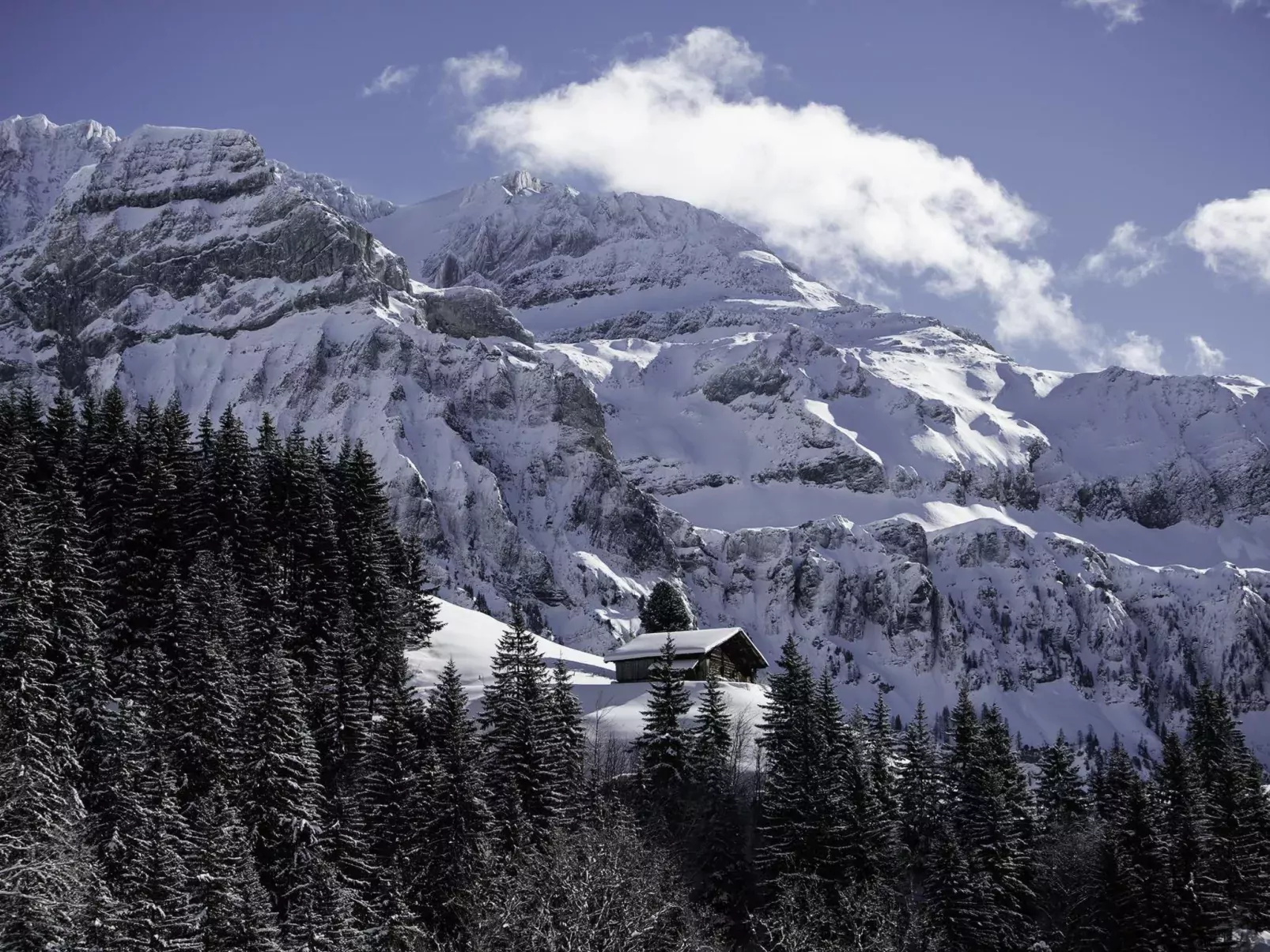 Chalet Weitblick-Buiten