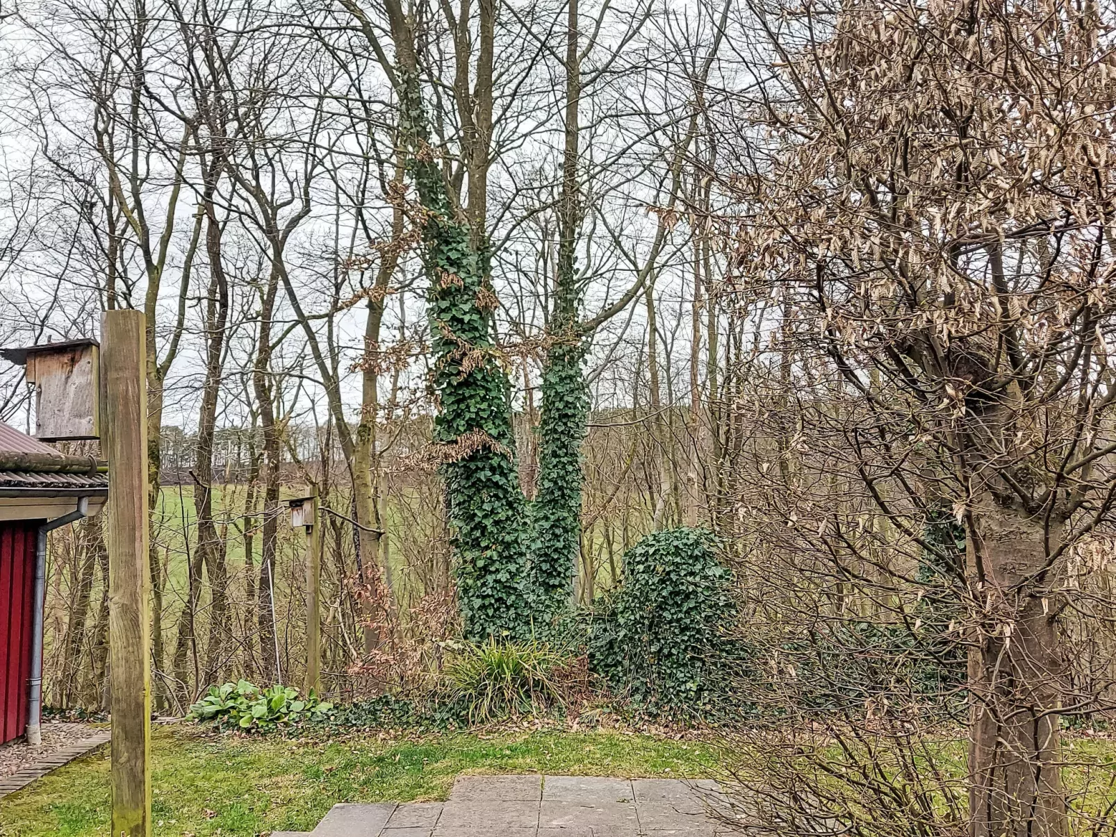 Haus am Wald-Buiten