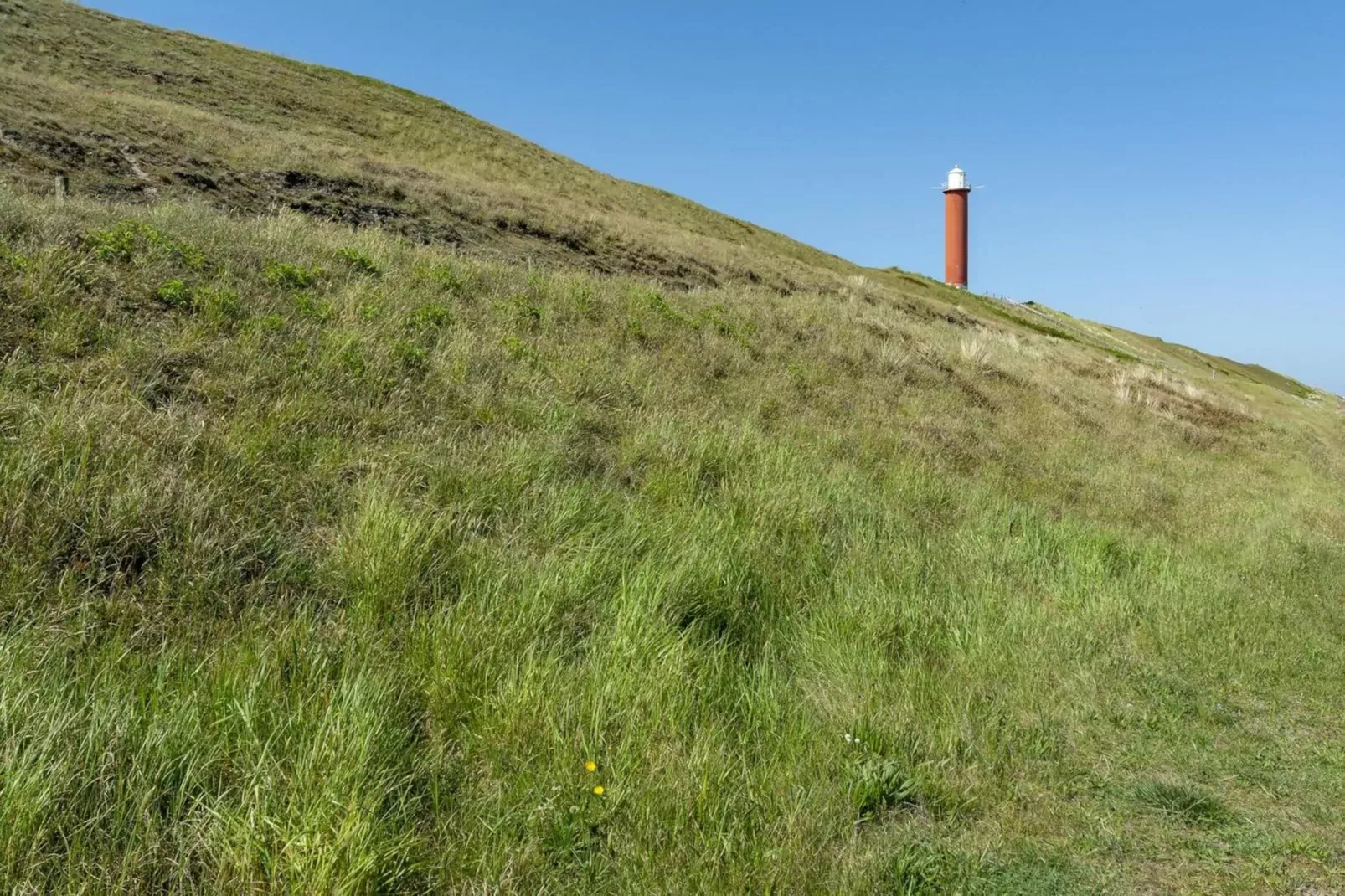 Strandleven 106-Gebieden zomer 1km