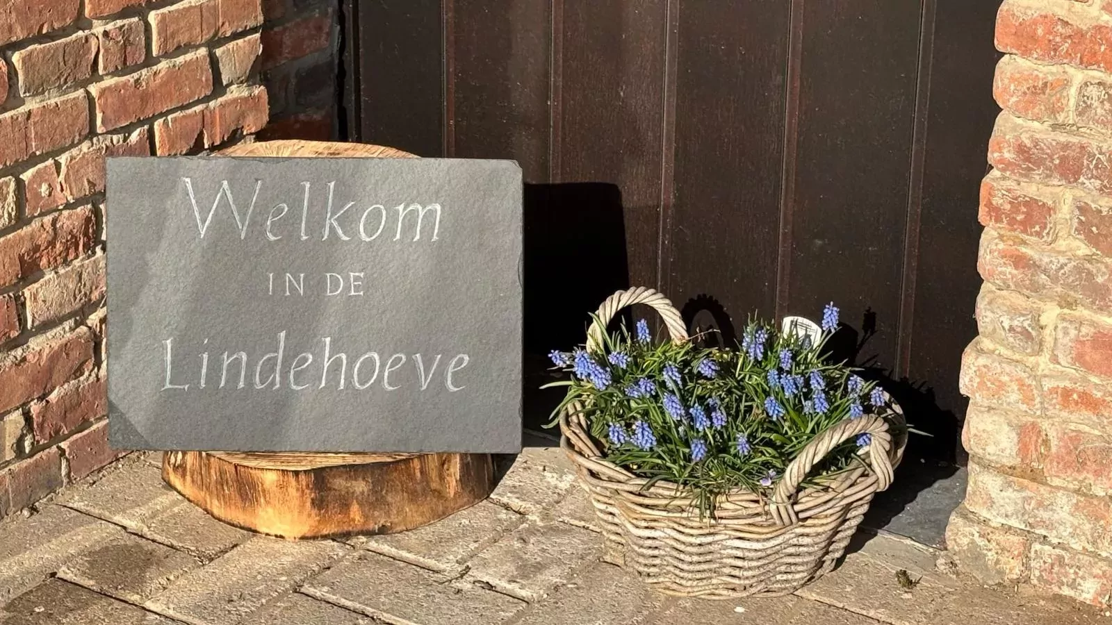 Lindehoeve-Sfeer