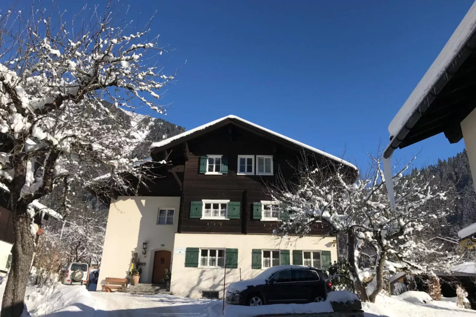 Ferienhaus Büsch-Exterieur winter