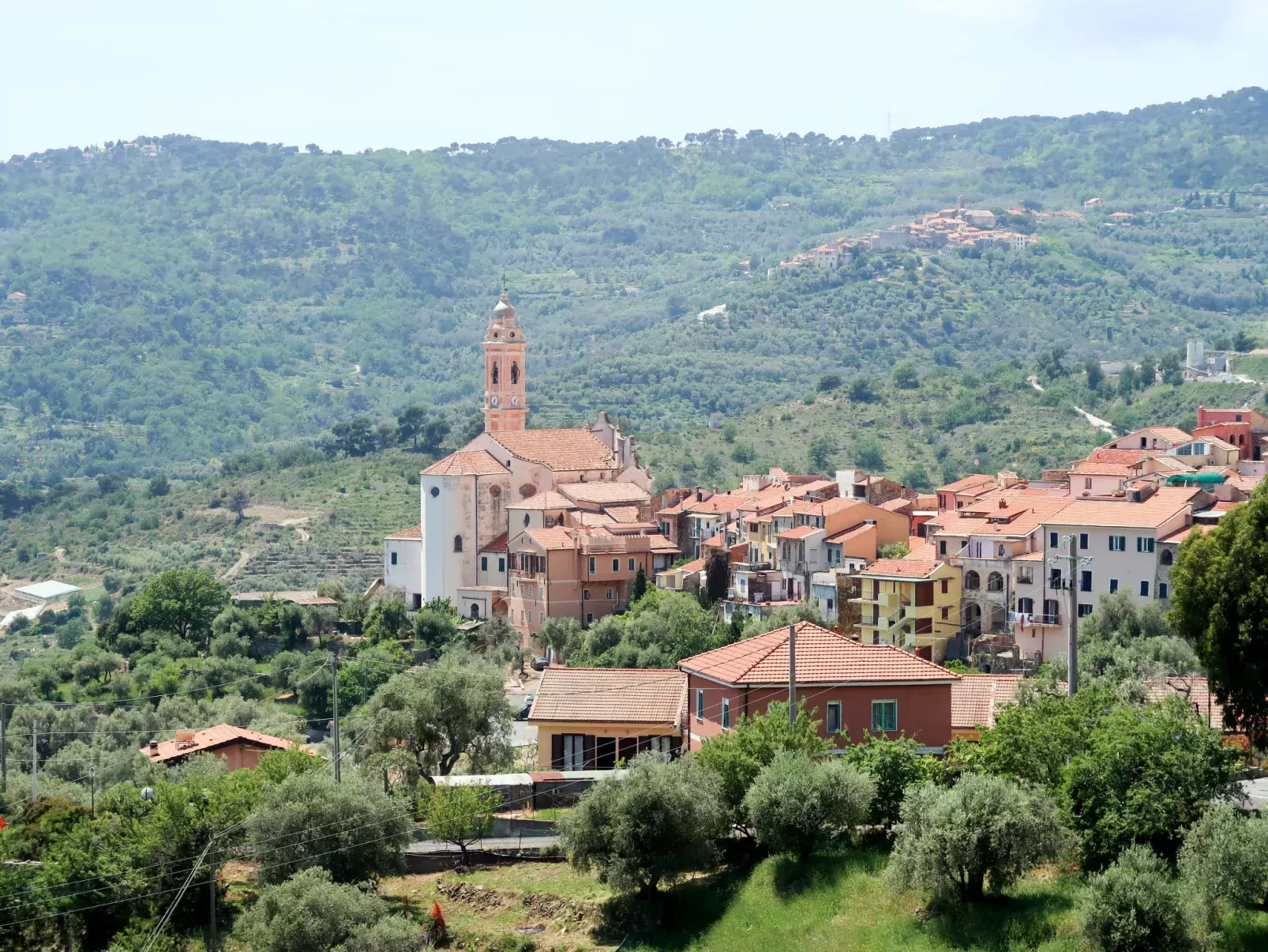 Olive Lodge-Omgeving