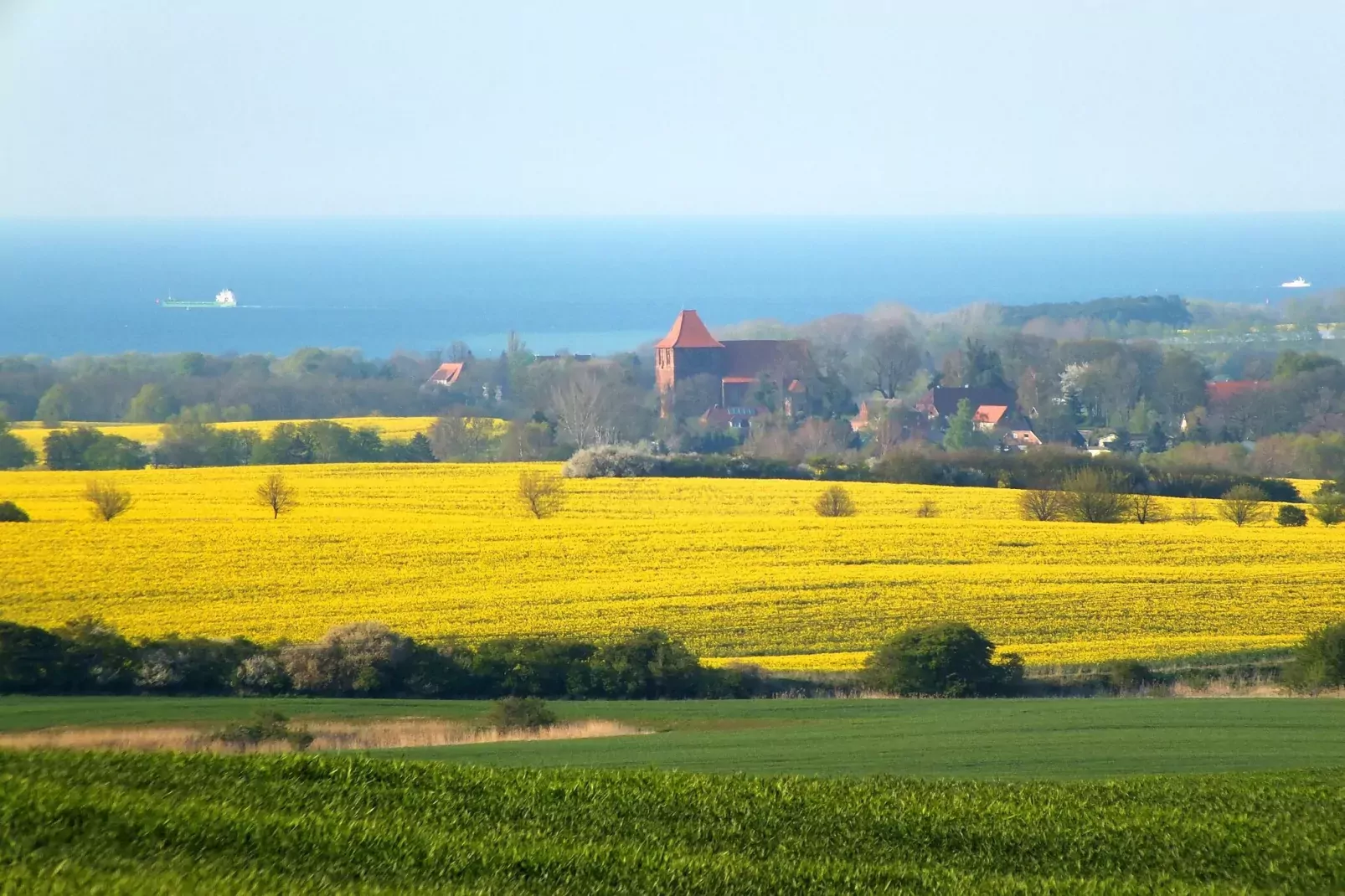 Ferienhaus de Poeler Drift Zierow 4 Personen-Gebieden zomer 20km