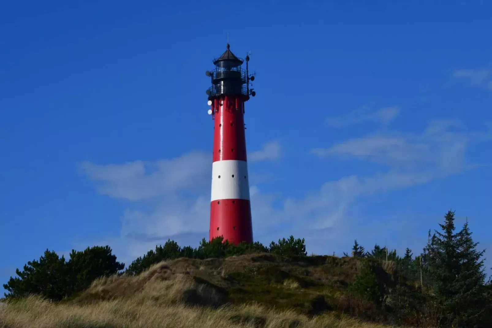 Ferienpark Markgrafenheide Studio 50 qm-Gebieden zomer 5km