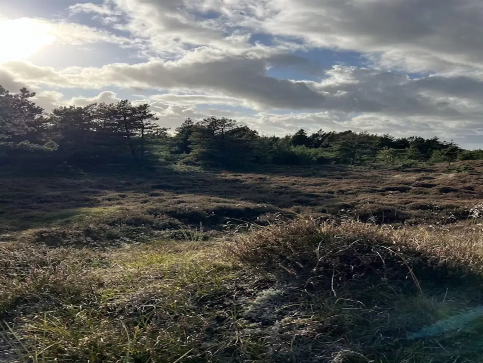 "Ibbe" - 3.5km from the sea-Binnen