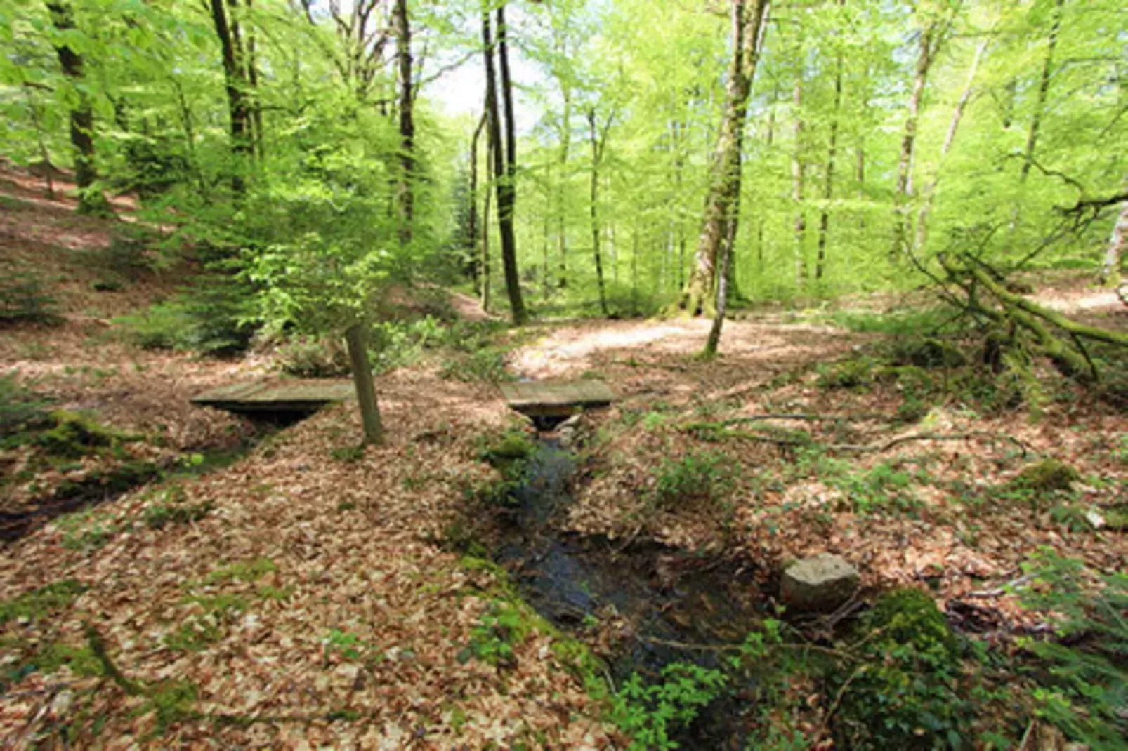 Holiday home Reipertswiller-Gebieden zomer 1km