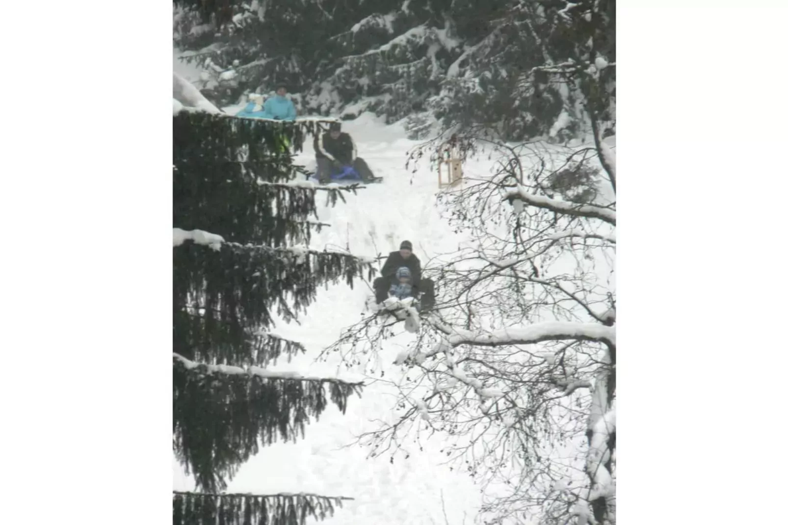 51776-Gebied winter 5km