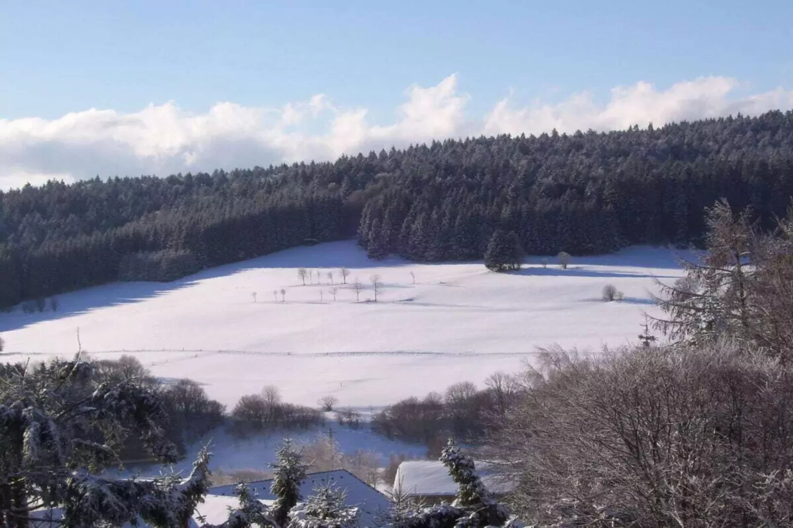 13650-Gebied winter 1km