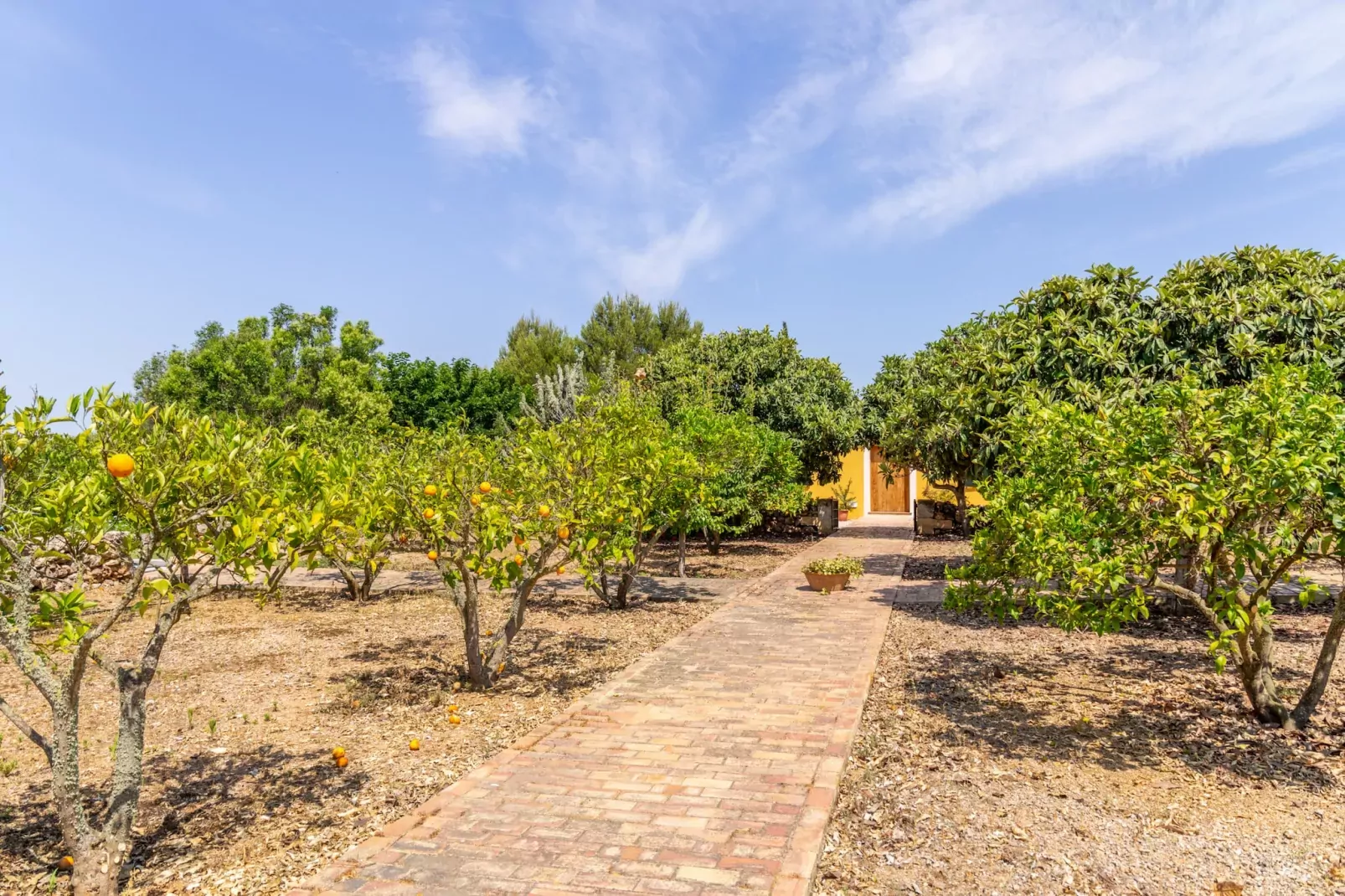 Ses Cases Son Blat, Finca 5StarsHome Mallorca-Gebieden zomer 1km