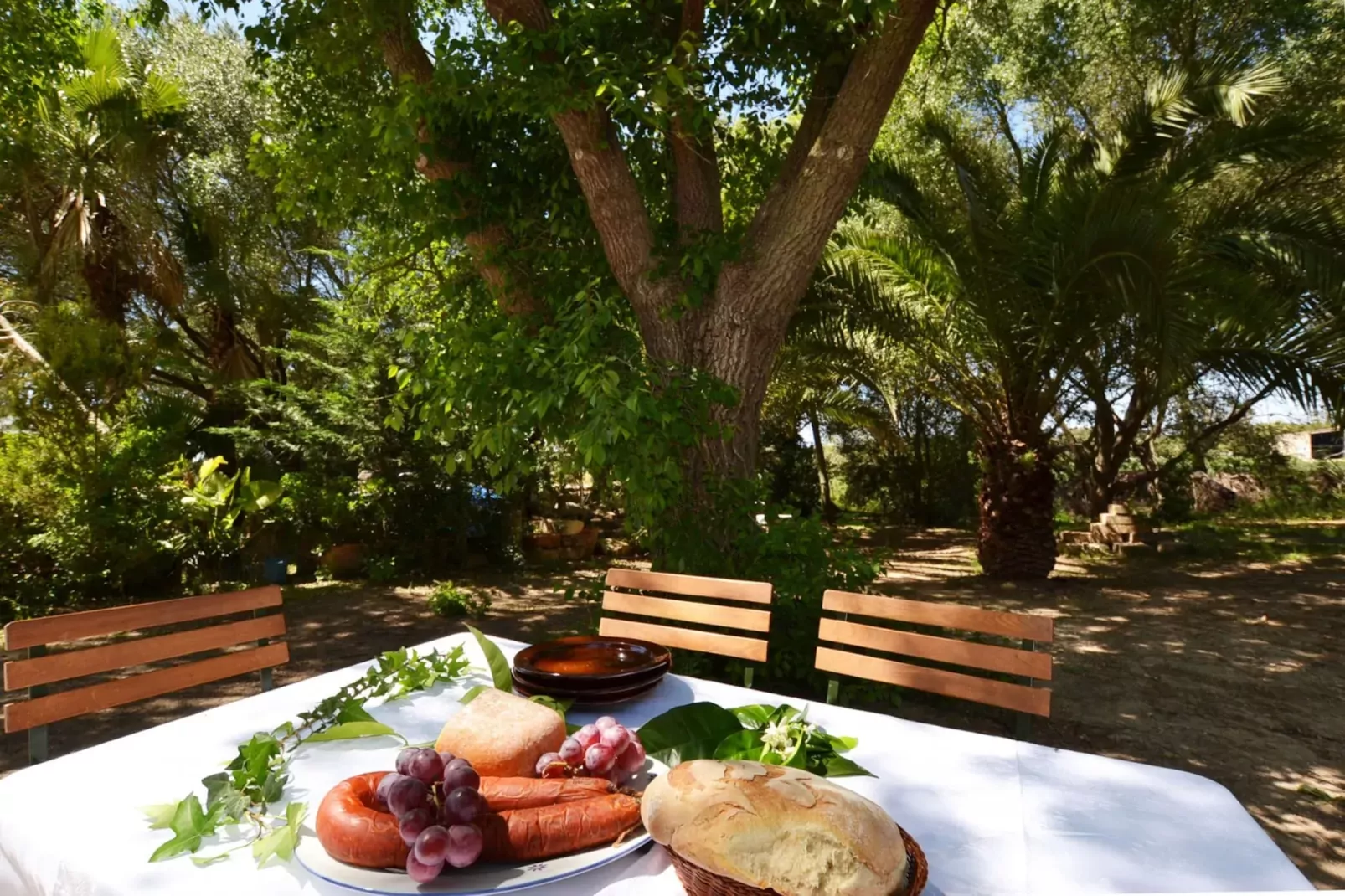 terrace