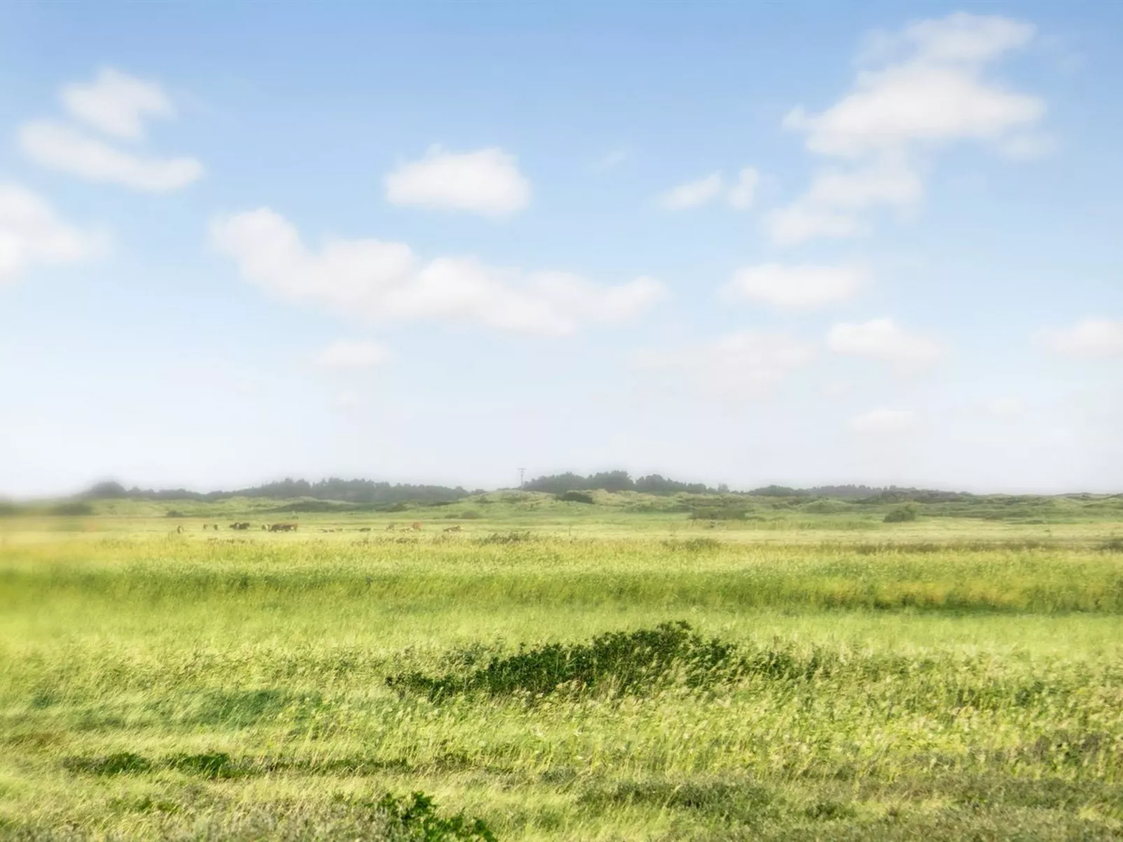 "Mortensen" - 350m from the sea-Buiten