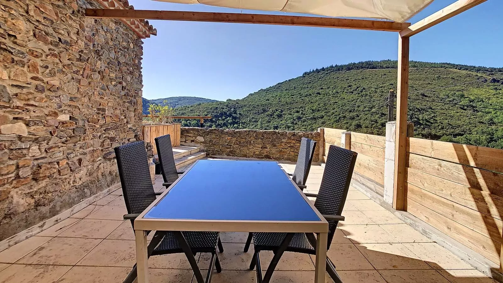 Combi Oleander-Olivier-Terrasbalkon