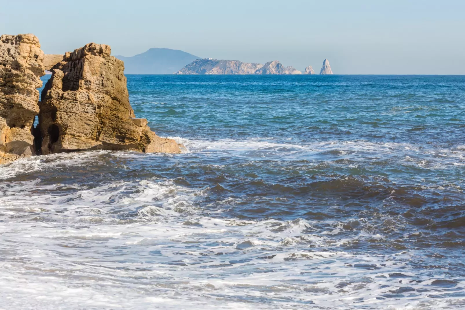 Medas 17-Gebieden zomer 1km