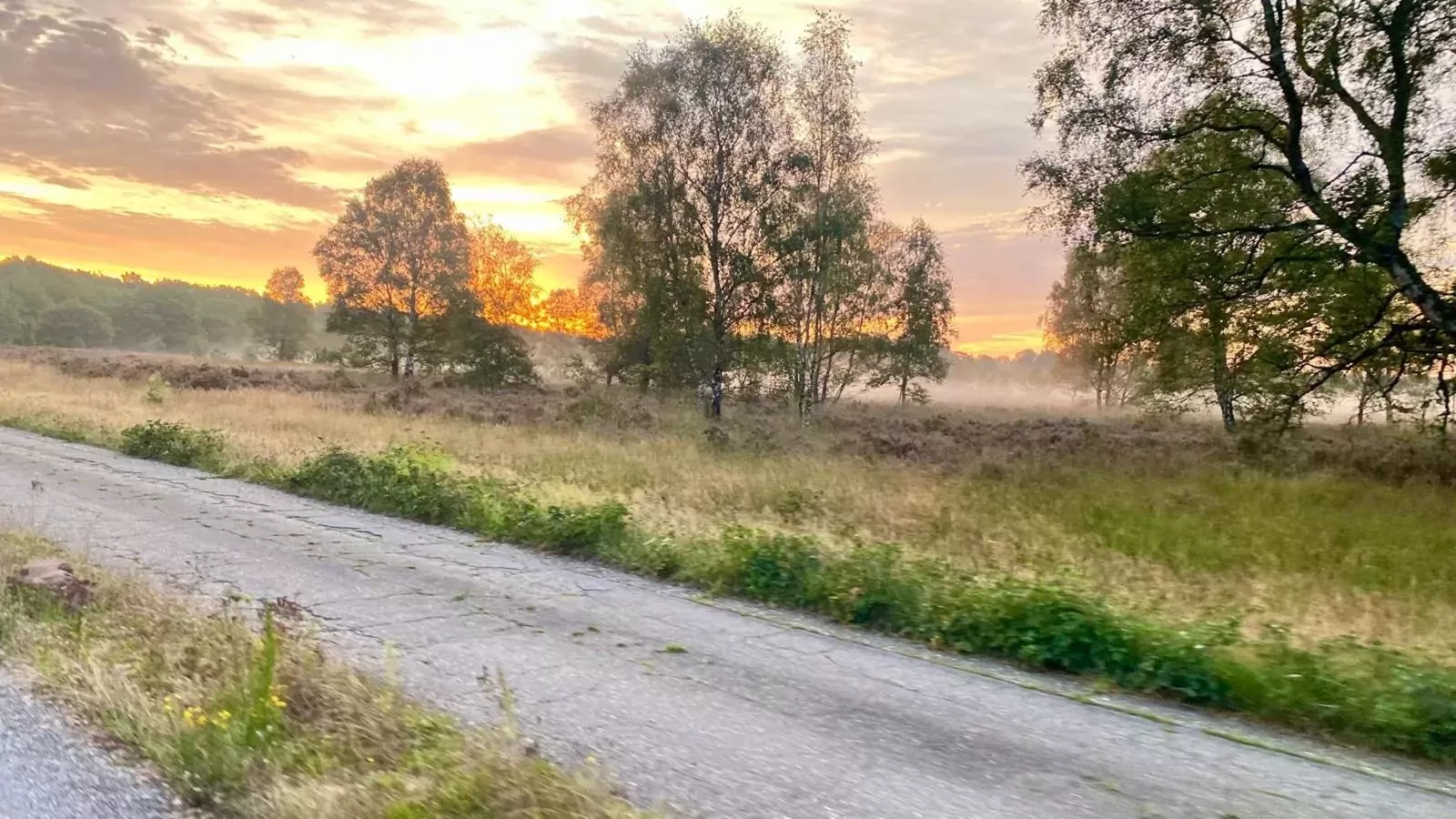 Cabin 22-Gebieden zomer 5km