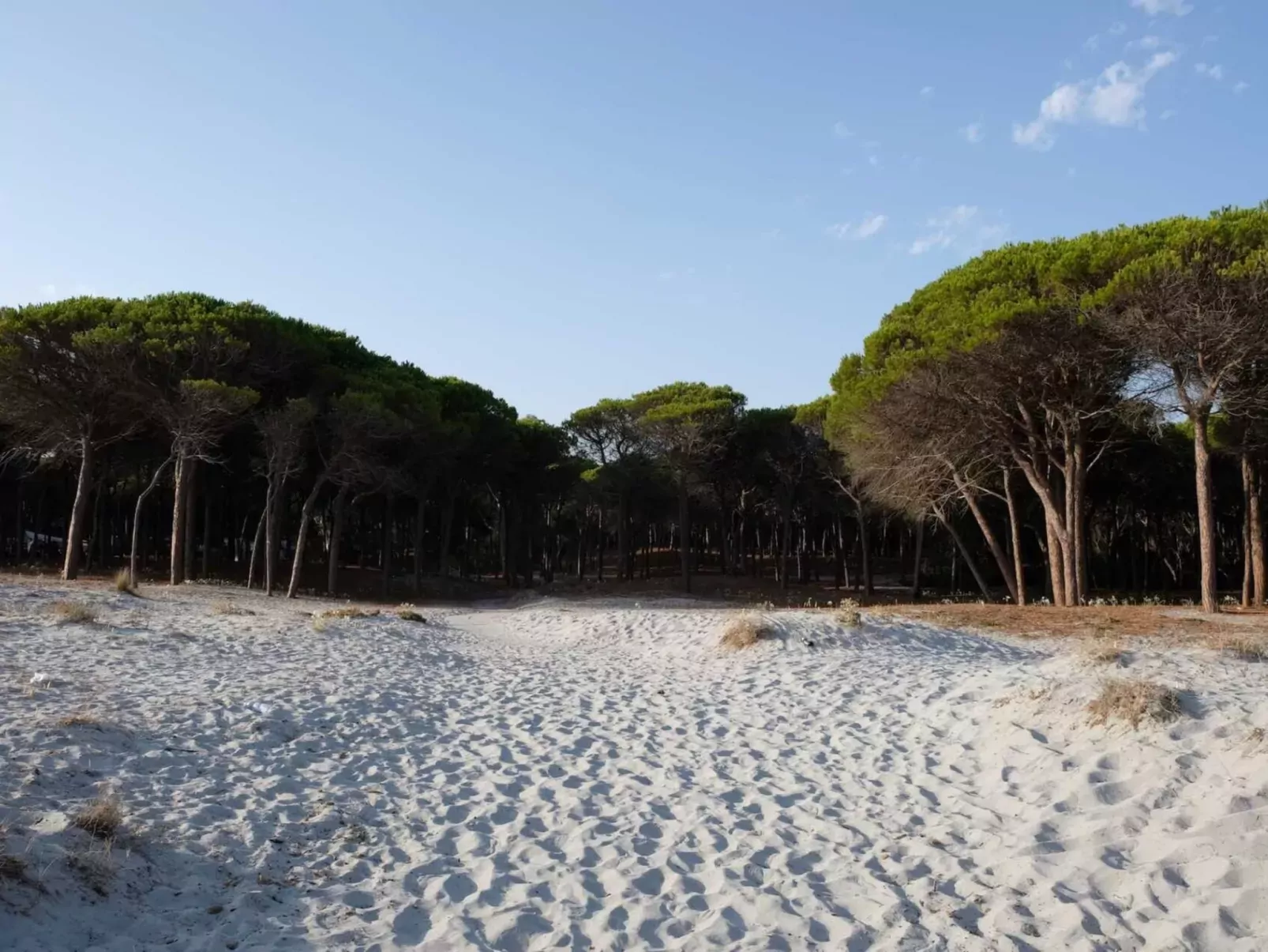 Selema Camping-Buiten