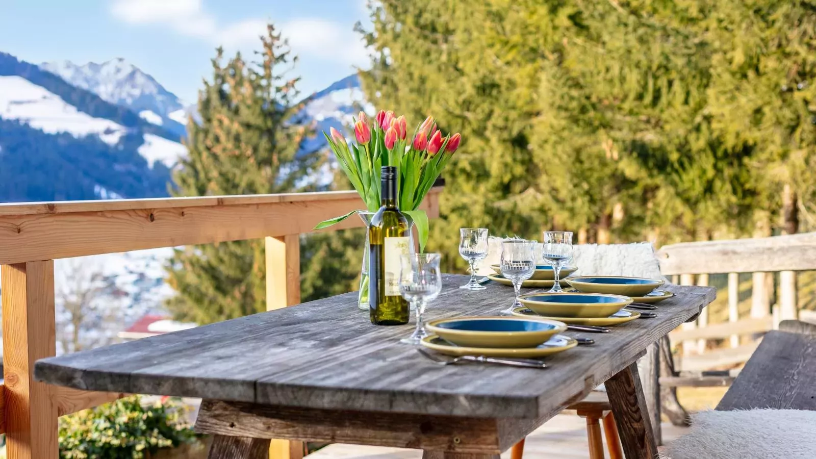 Sonnenhütte unten-Terrasbalkon