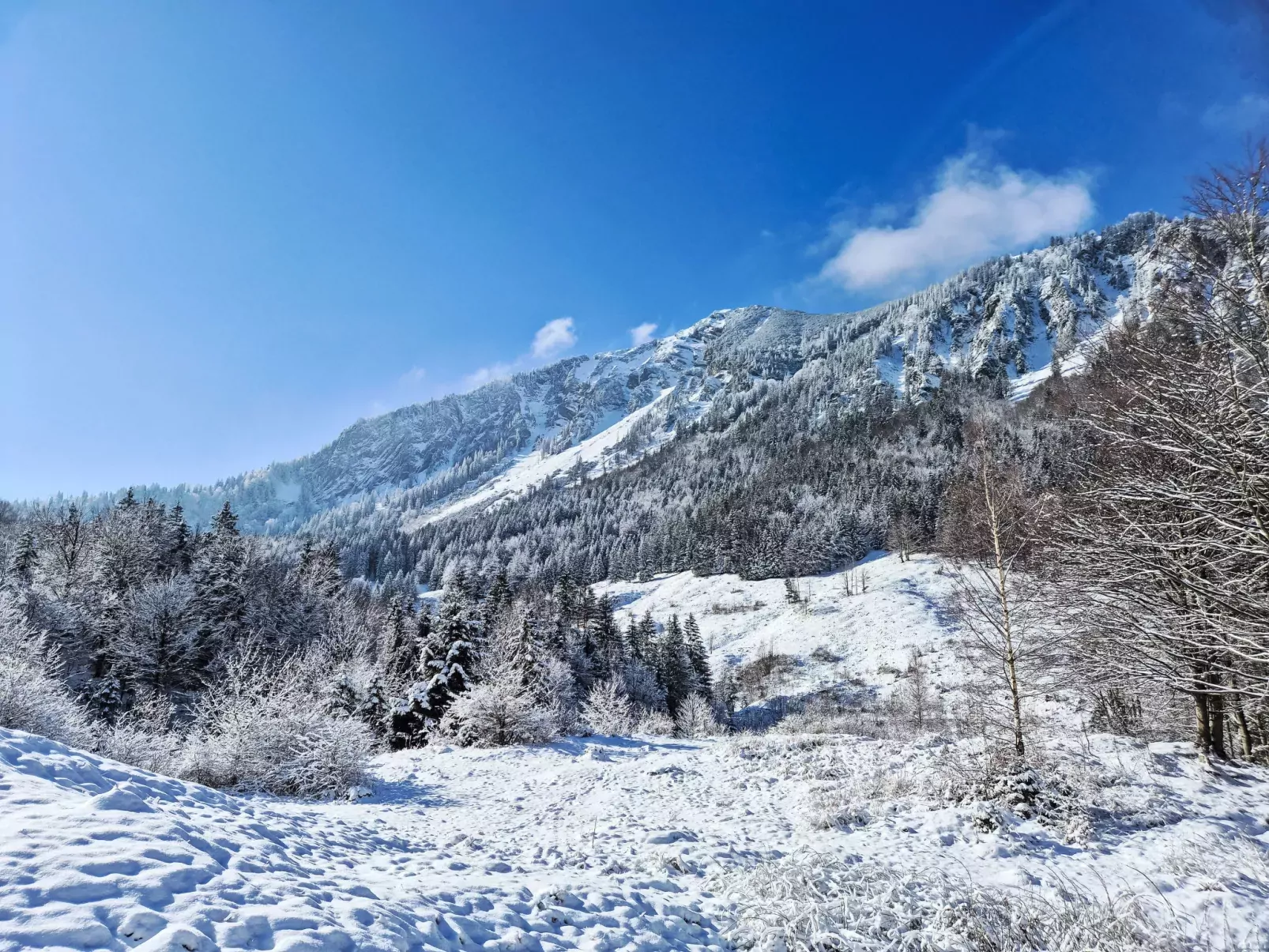 Tiny Haus Glockenalm-Chalet Wendelblick-Buiten