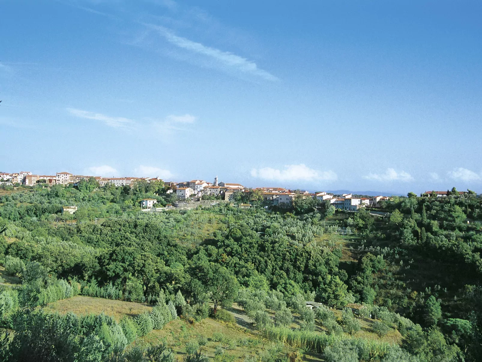 Lilia-Omgeving