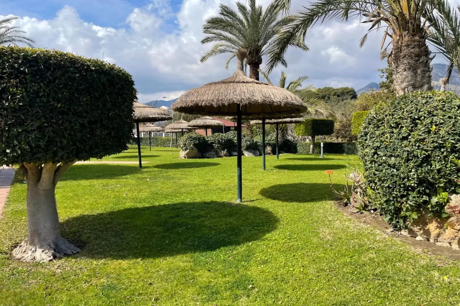 Apartamento con terraza 705-Tuinen zomer