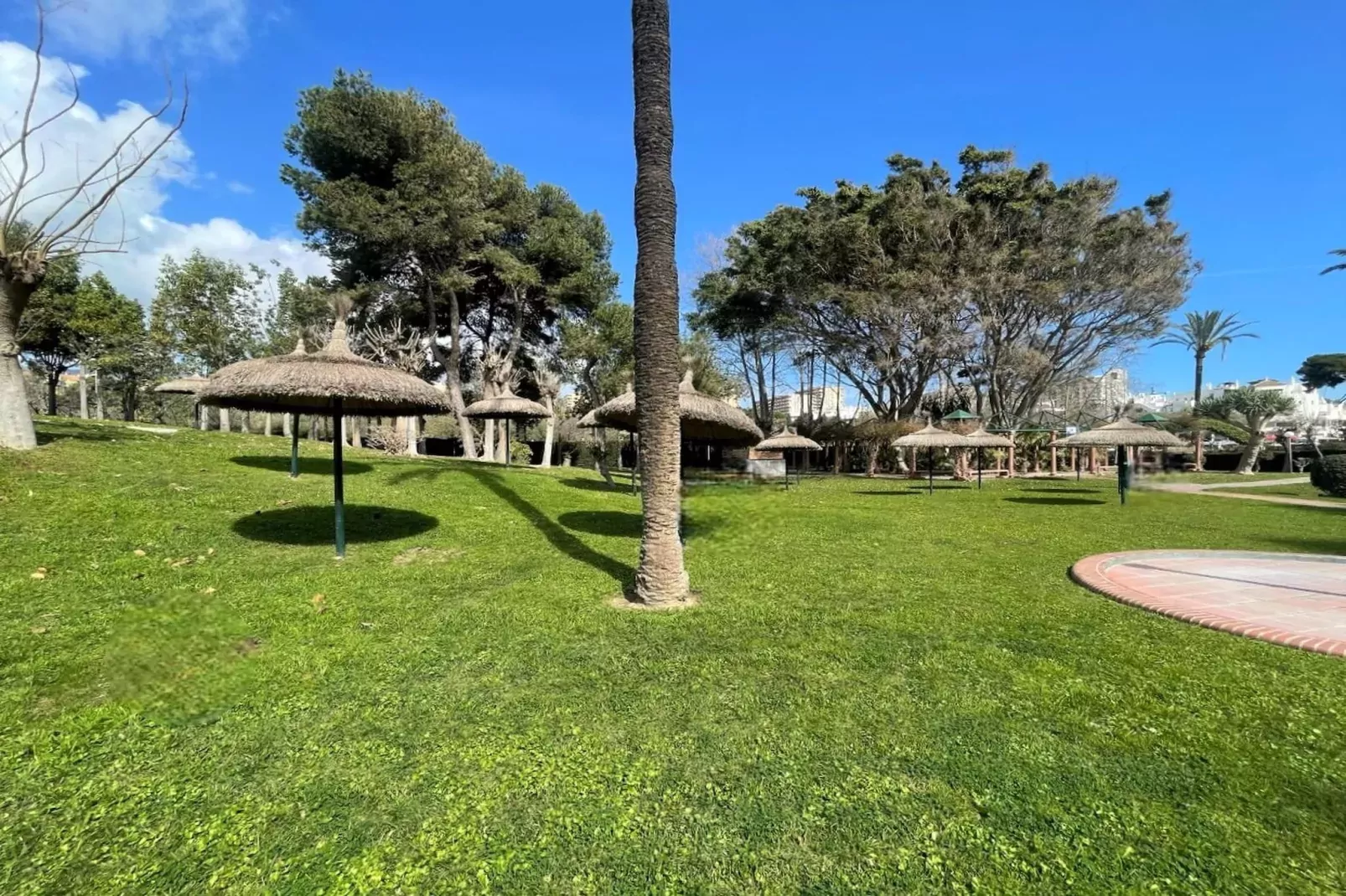 Apartamento con terraza 705-Tuinen zomer