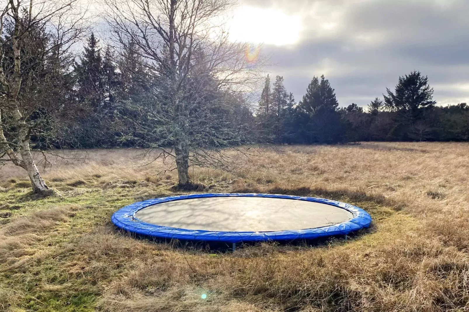 6 Personen vakantie huis in Ålbæk-By Traum-Niet-getagd