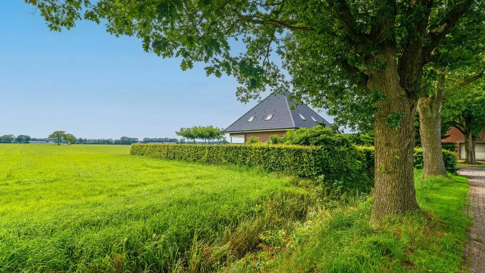 De Kolonie-Buitenkant zomer