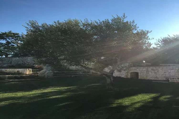 Trullo Amato Cisternino-Tuinen zomer
