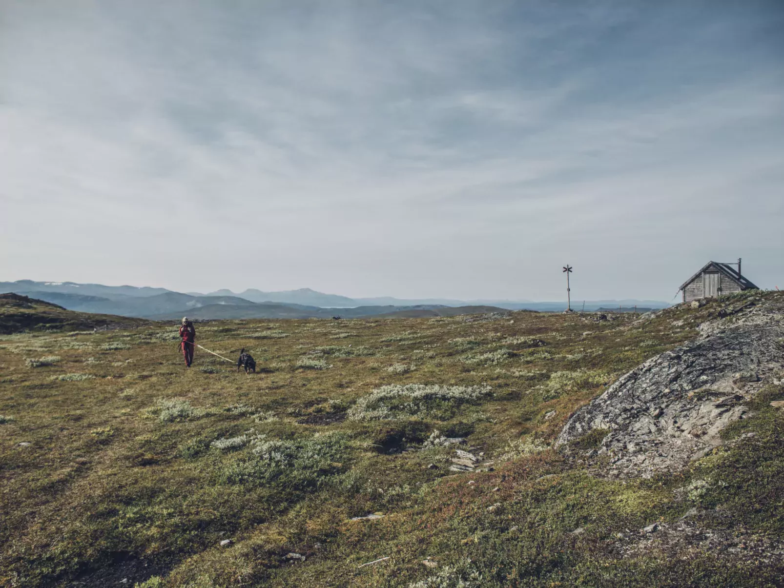 Trillevallen Fjällripan-Omgeving