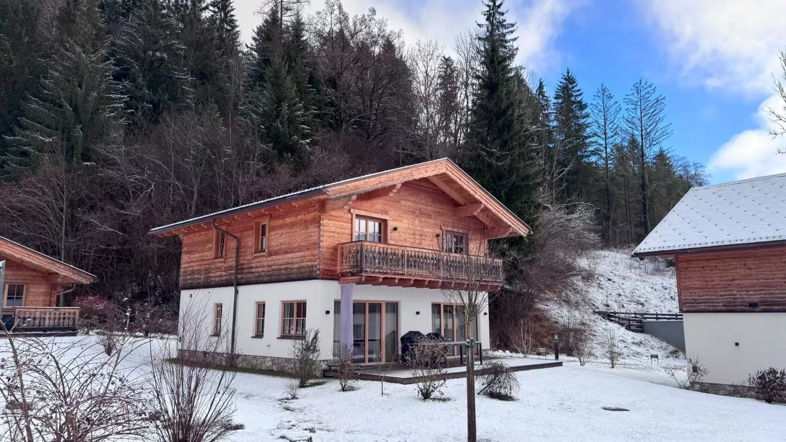 Villa Gradenbach-Exterieur winter
