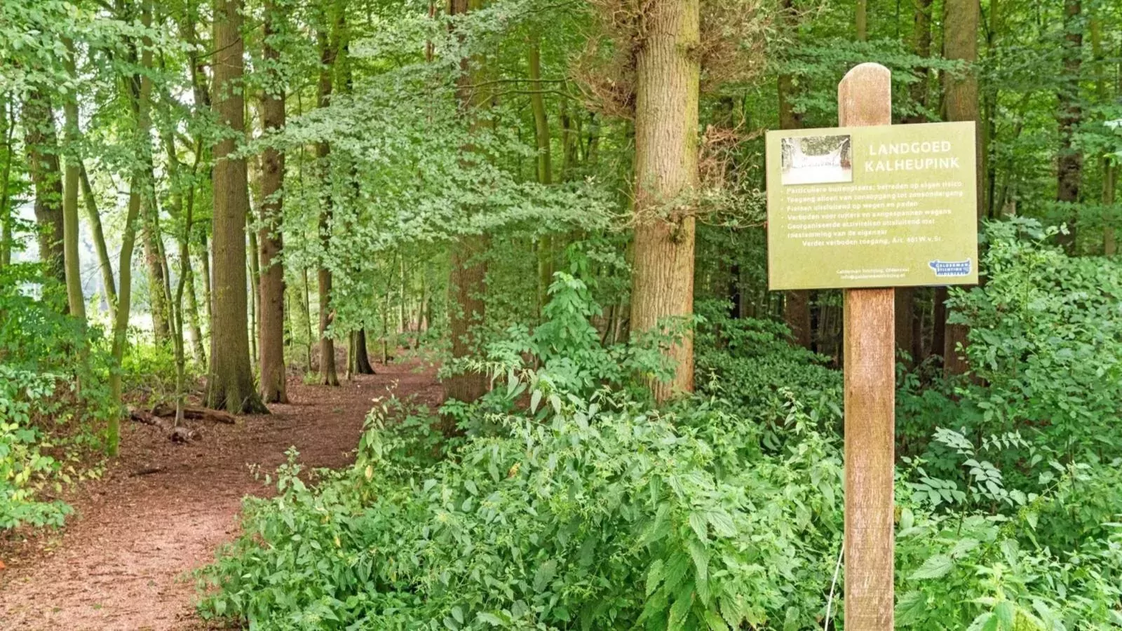 Wellnesshuisje Kalheupink-Gebieden zomer 1km