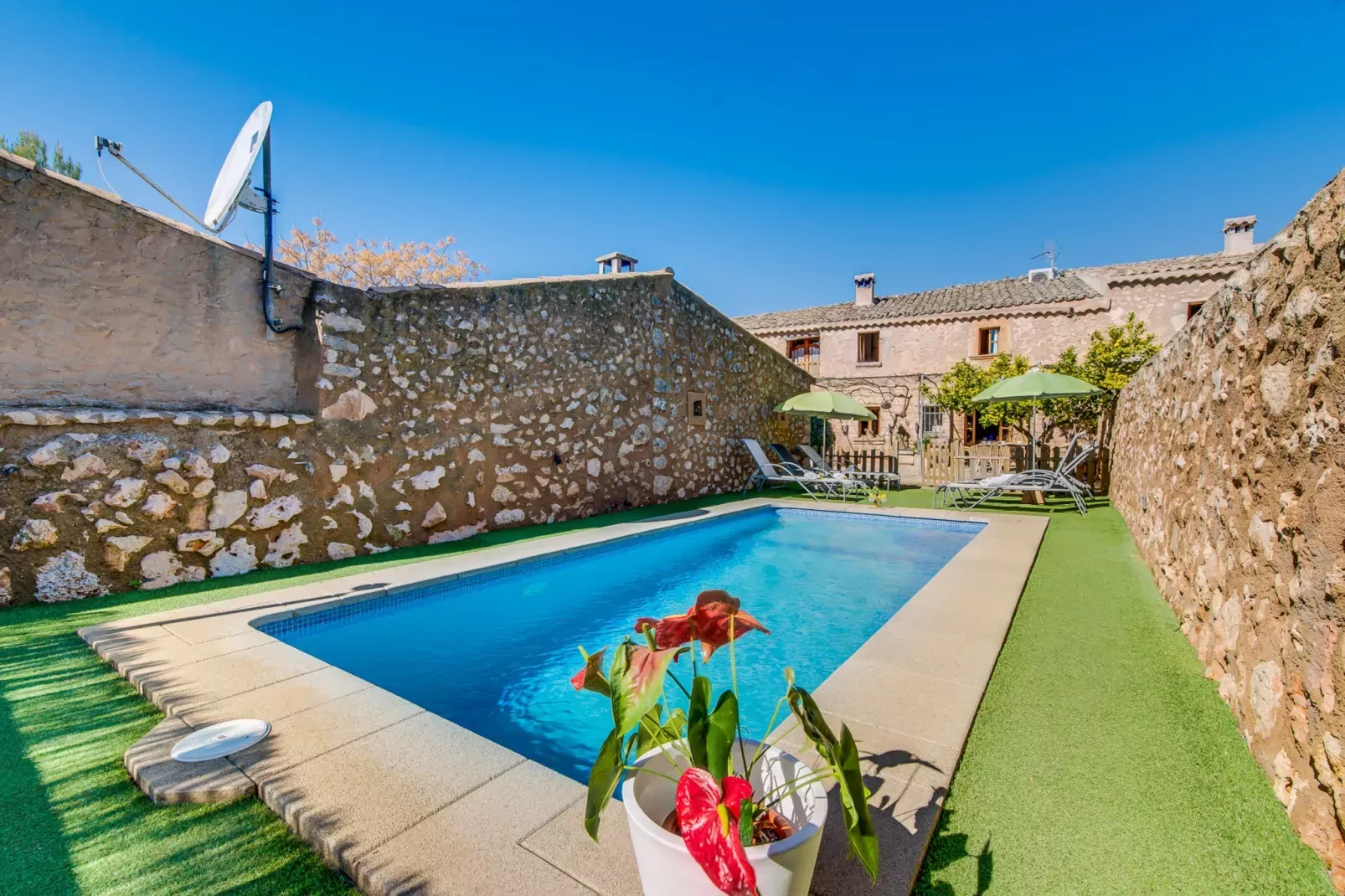 Finca Can Maria Costitx-Zwembad
