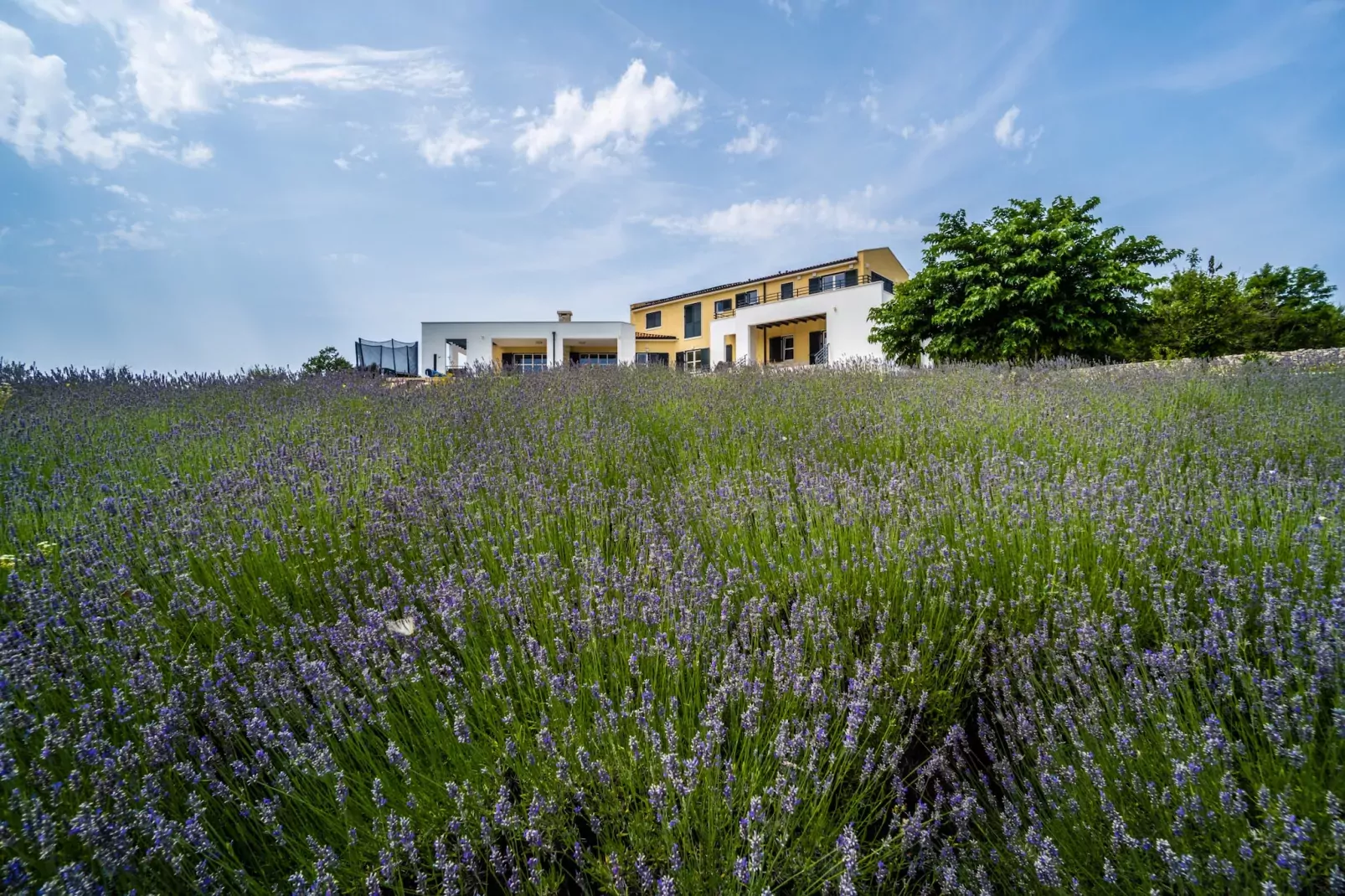 Villa Arkaim with Private Pool-Tuinen zomer