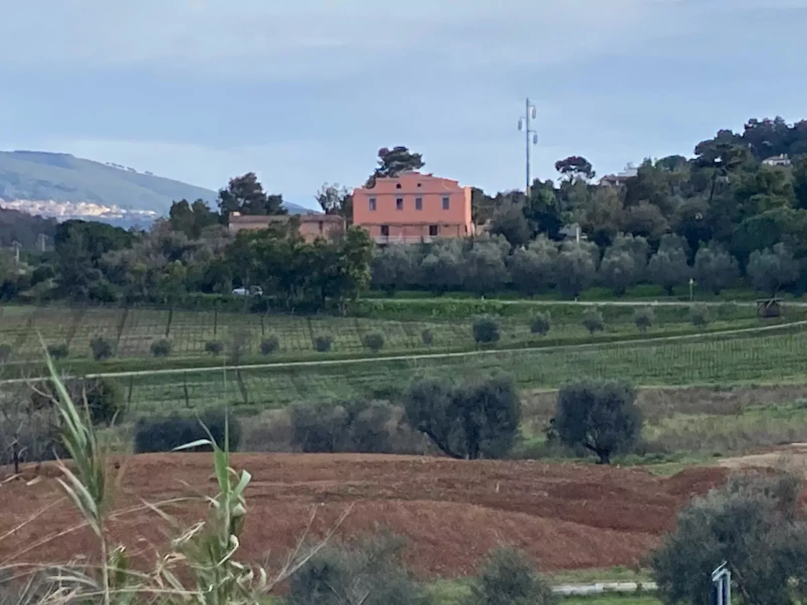 Maria-Teresa